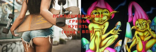 молекула духа Арсеньев
