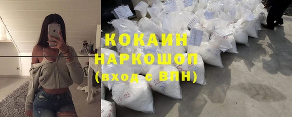 индика Аркадак