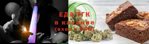 индика Аркадак