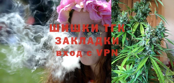 индика Аркадак