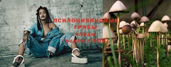 молекула духа Арсеньев
