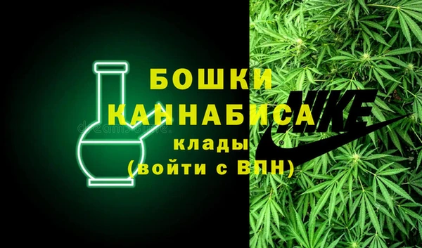 индика Аркадак