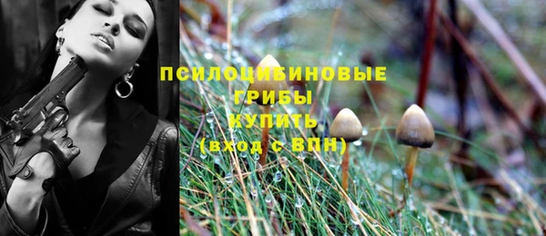 молекула духа Арсеньев