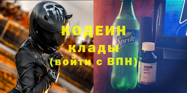 молекула духа Арсеньев