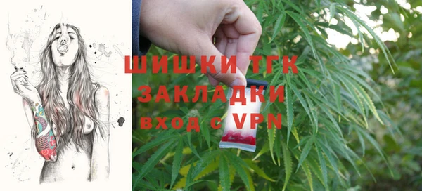 молекула духа Арсеньев