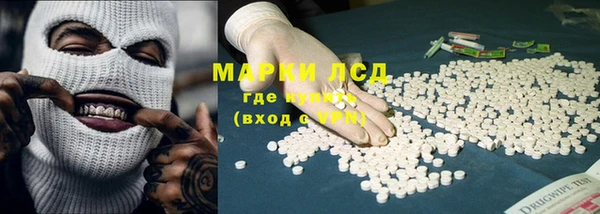 молекула духа Арсеньев