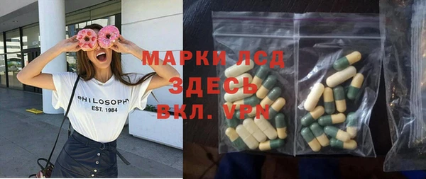 индика Аркадак